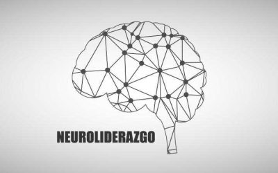 El Neuroliderazgo en las empresas