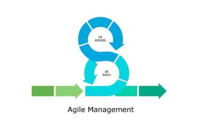 12 principios del Agile Management para la Dirección de Proyectos