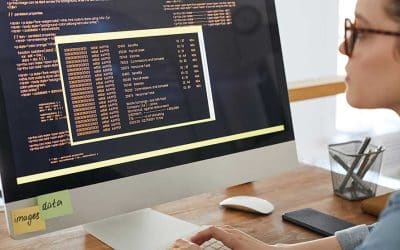 ¿Qué es un seguro de riesgo cibernético?