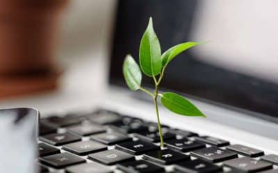 ¿Qué hace un consultor de sostenibilidad en las empresas? Responsabilidades y funciones