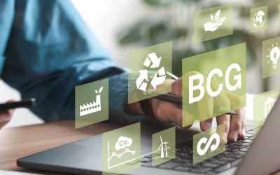 La formación en sostenibilidad que te convertirá en experto en economía circular y gestión verde de las empresas